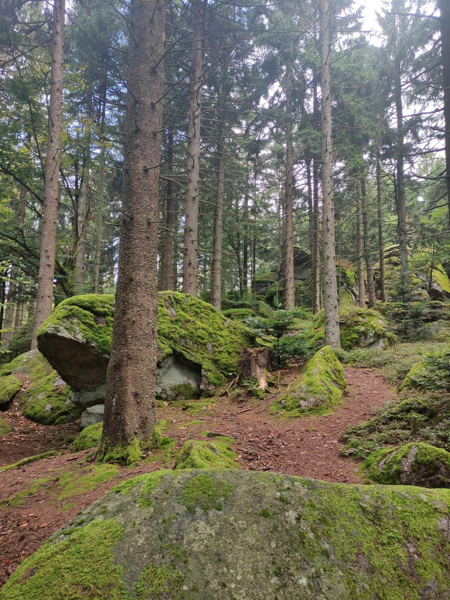 Pools, Sauna Und Balkon Mit Panoramablick 상트엥글마 외부 사진